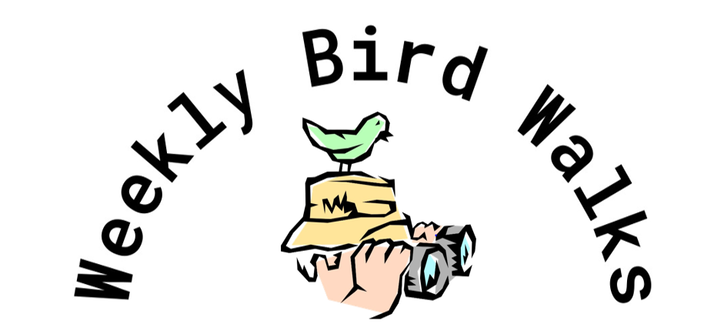 Weekly Bird Walks - YORK AUDUBON SOCIETY